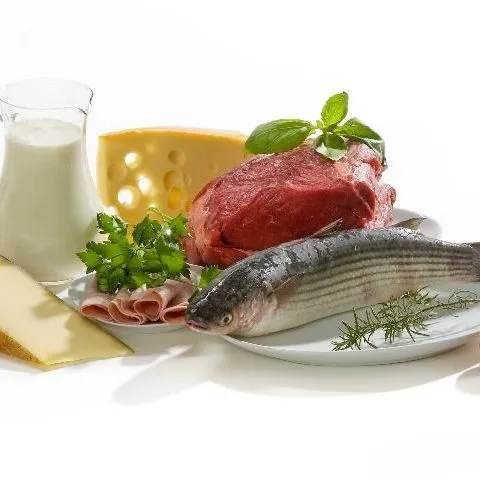 thumbnail for publication: Facts about Protein